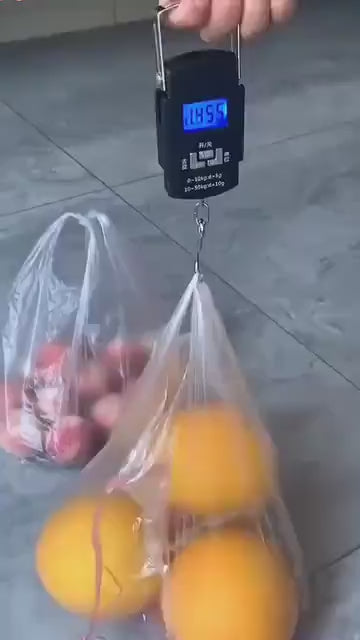 Portable Digital Scale